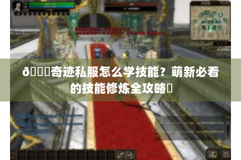 📚奇迹私服怎么学技能？萌新必看的技能修炼全攻略✨