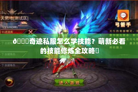 📚奇迹私服怎么学技能？萌新必看的技能修炼全攻略✨