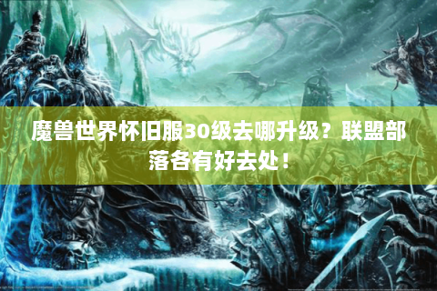魔兽世界怀旧服30级去哪升级？联盟部落各有好去处！