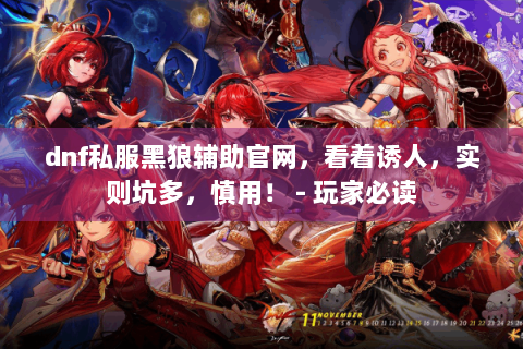 dnf私服黑狼辅助官网，看着诱人，实则坑多，慎用！ - 玩家必读