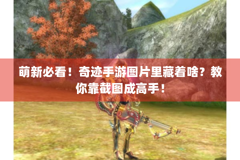 萌新必看！奇迹手游图片里藏着啥？教你靠截图成高手！