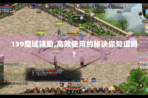 139魔域辅助,高效使用的秘诀你知道吗?