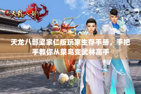 天龙八部梁家仁版玩家生存手册，手把手教你从菜鸟变武林高手