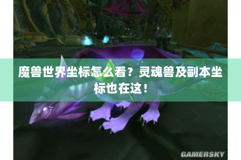魔兽世界坐标怎么看？灵魂兽及副本坐标也在这！