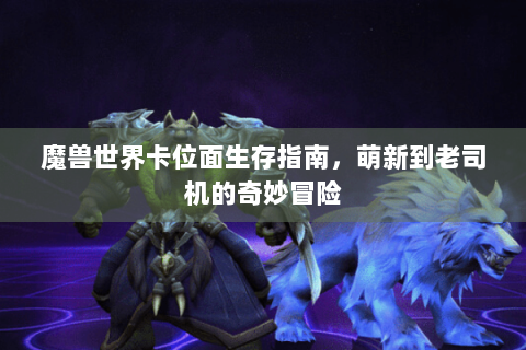 魔兽世界卡位面生存指南，萌新到老司机的奇妙冒险