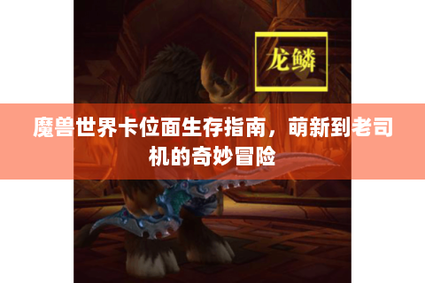 魔兽世界卡位面生存指南，萌新到老司机的奇妙冒险