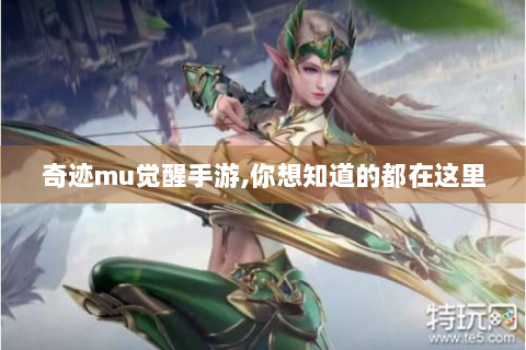 奇迹mu觉醒手游,你想知道的都在这里