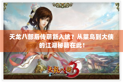 天龙八部后传萌新入坑？从菜鸟到大侠的江湖秘籍在此！