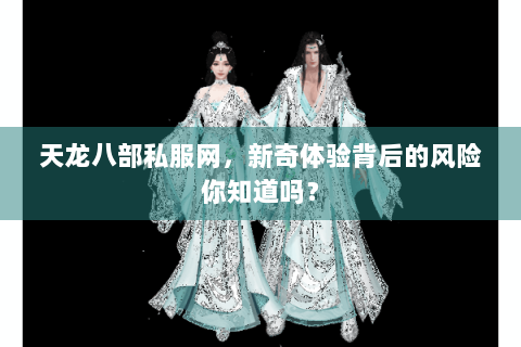 天龙八部私服网，新奇体验背后的风险你知道吗？