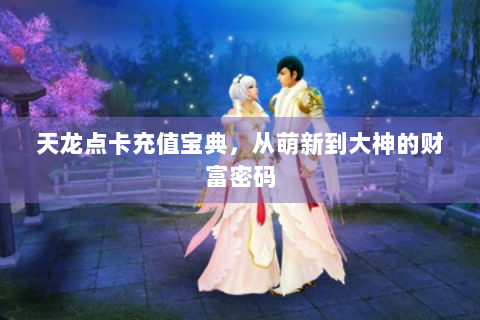 天龙点卡充值宝典，从萌新到大神的财富密码