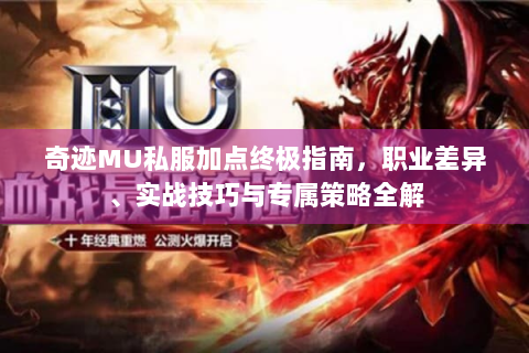 奇迹MU私服加点终极指南，职业差异、实战技巧与专属策略全解