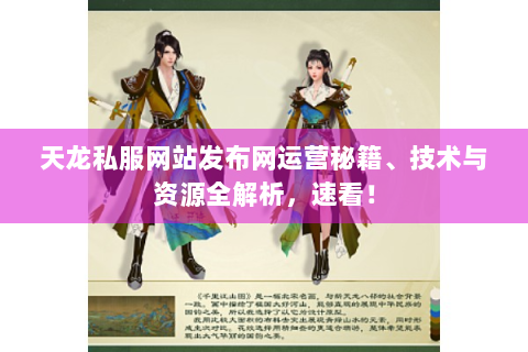 天龙私服网站发布网运营秘籍、技术与资源全解析，速看！