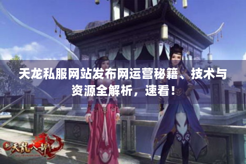 天龙私服网站发布网运营秘籍、技术与资源全解析，速看！