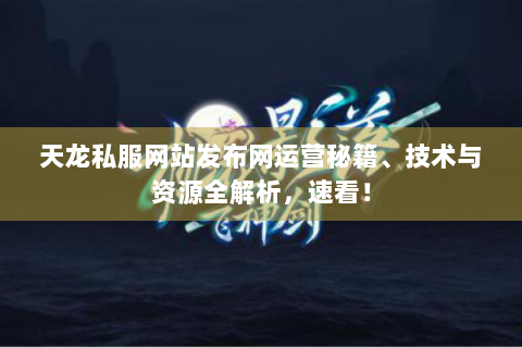 天龙私服网站发布网运营秘籍、技术与资源全解析，速看！