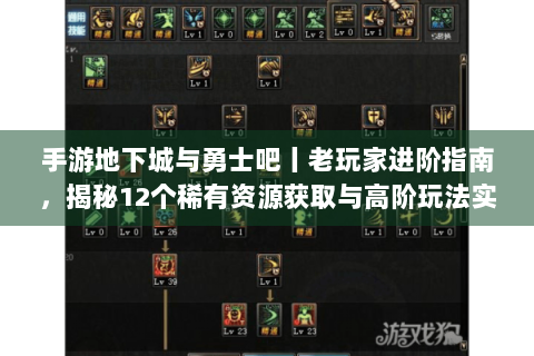 手游地下城与勇士吧丨老玩家进阶指南，揭秘12个稀有资源获取与高阶玩法实战技巧