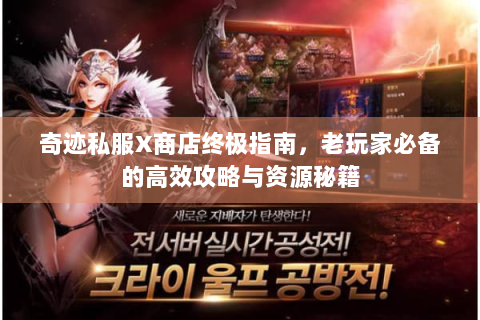 奇迹私服X商店终极指南，老玩家必备的高效攻略与资源秘籍