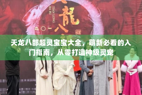天龙八部超灵宝宝大全，萌新必看的入门指南，从零打造神级灵宠