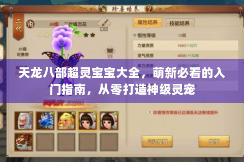 天龙八部超灵宝宝大全，萌新必看的入门指南，从零打造神级灵宠