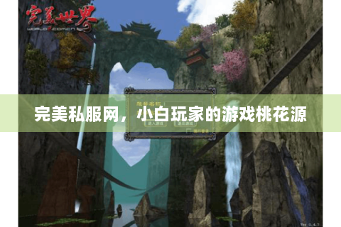 完美私服网，小白玩家的游戏桃花源