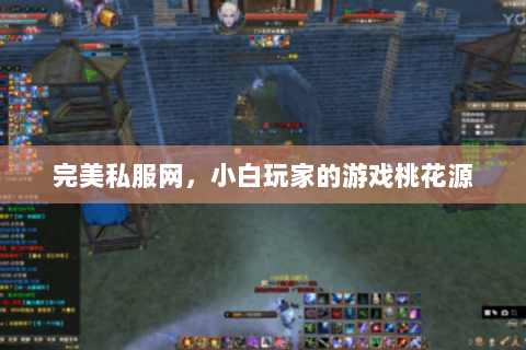 完美私服网，小白玩家的游戏桃花源