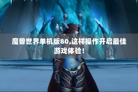 魔兽世界单机版80,这样操作开启最佳游戏体验！