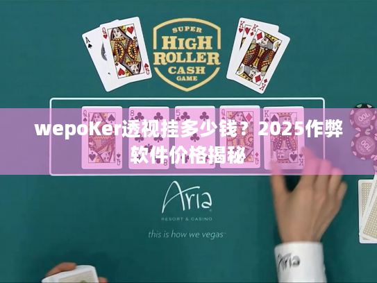 wepoKer透视挂多少钱？2025作弊软件价格揭秘