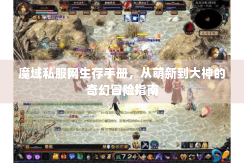 魔域私服网生存手册，从萌新到大神的奇幻冒险指南