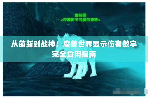 从萌新到战神！魔兽世界显示伤害数字完全食用指南
