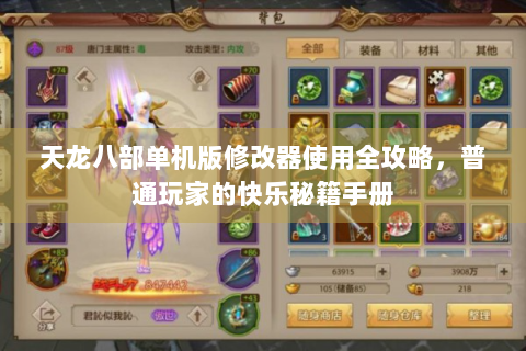 天龙八部单机版修改器使用全攻略，普通玩家的快乐秘籍手册