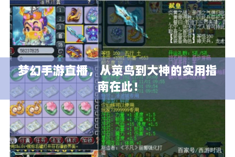梦幻手游直播，从菜鸟到大神的实用指南在此！