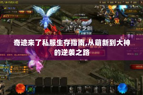 奇迹来了私服生存指南,从萌新到大神的逆袭之路