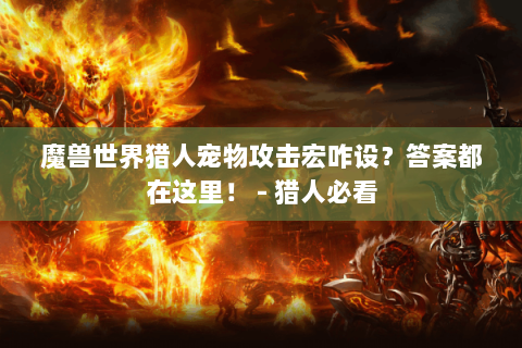魔兽世界猎人宠物攻击宏咋设？答案都在这里！ - 猎人必看