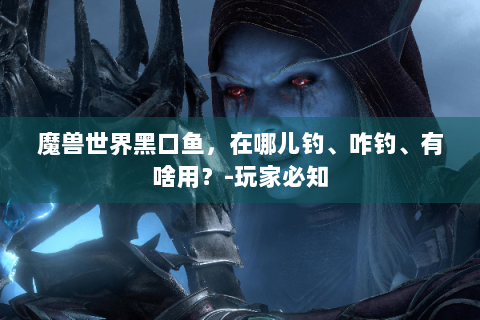 魔兽世界黑口鱼，在哪儿钓、咋钓、有啥用？-玩家必知
