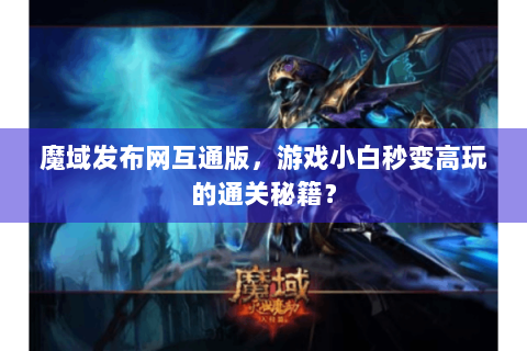 魔域发布网互通版，游戏小白秒变高玩的通关秘籍？