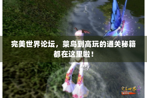 完美世界论坛，菜鸟到高玩的通关秘籍都在这里啦！
