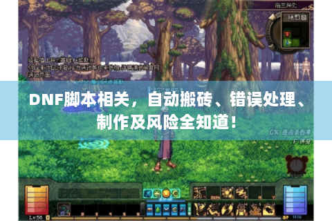 DNF脚本相关，自动搬砖、错误处理、制作及风险全知道！