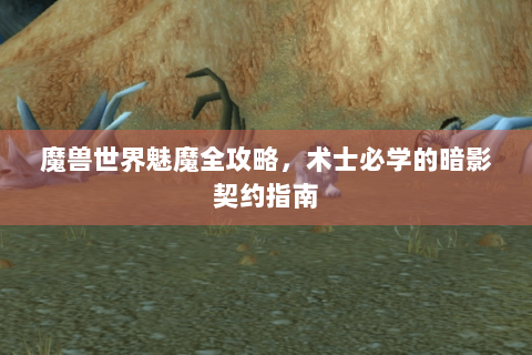 魔兽世界魅魔全攻略，术士必学的暗影契约指南