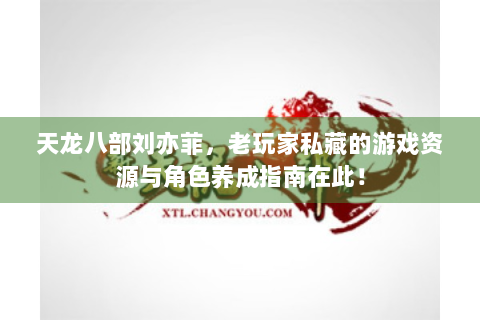 天龙八部刘亦菲，老玩家私藏的游戏资源与角色养成指南在此！