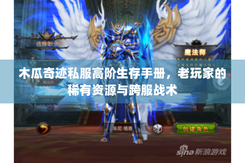 木瓜奇迹私服高阶生存手册，老玩家的稀有资源与跨服战术