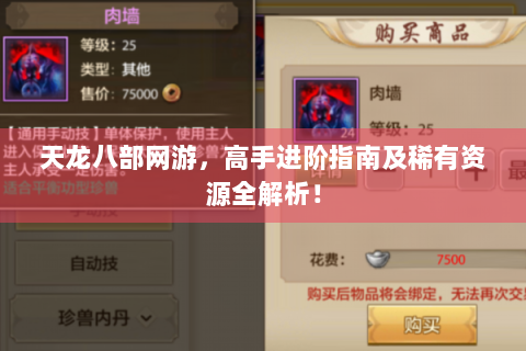 天龙八部网游，高手进阶指南及稀有资源全解析！
