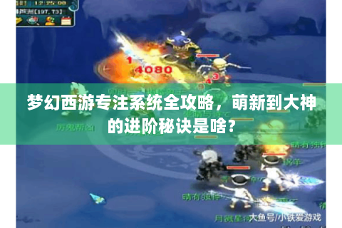 梦幻西游专注系统全攻略，萌新到大神的进阶秘诀是啥？