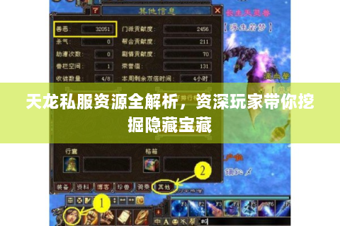 天龙私服资源全解析，资深玩家带你挖掘隐藏宝藏