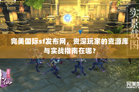 完美国际sf发布网，资深玩家的资源库与实战指南在哪？