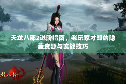 天龙八部2进阶指南，老玩家才知的隐藏资源与实战技巧
