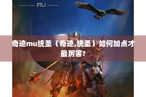 奇迹mu统圣（奇迹,统圣）如何加点才最厉害?