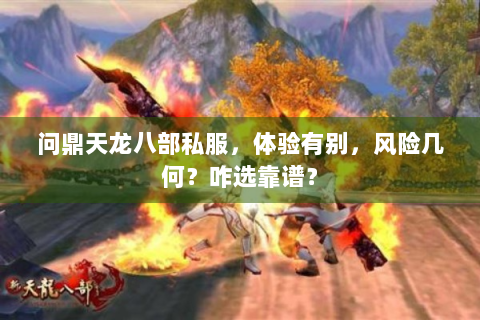 问鼎天龙八部私服，体验有别，风险几何？咋选靠谱？