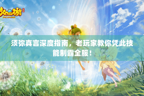 须弥真言深度指南，老玩家教你凭此技能制霸全服！