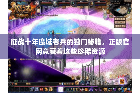 征战十年魔域老兵的独门秘籍，正版官网竟藏着这些珍稀资源