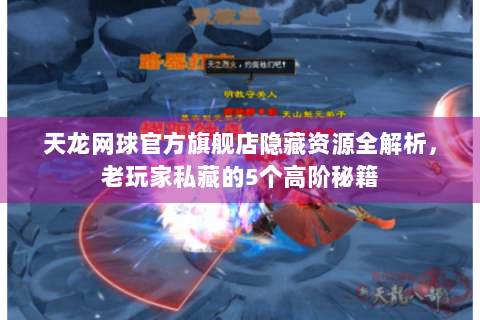 天龙网球官方旗舰店隐藏资源全解析，老玩家私藏的5个高阶秘籍