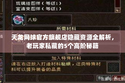 天龙网球官方旗舰店隐藏资源全解析，老玩家私藏的5个高阶秘籍